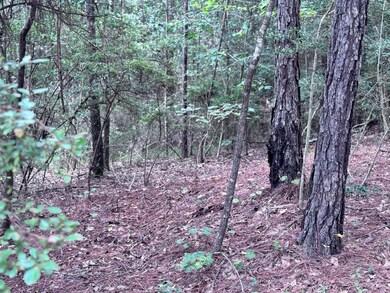 204 Ella Point, Lumberton, MS 39455 - photo 4