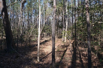 4051 Hard Scrabble Rd, Columbia, SC 29223 - photo 5