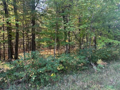 PAR B 16th St, Baldwin, MI 49304 - photo 4