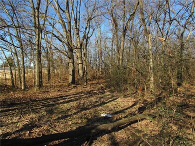 TBD LOT 4 Highway 43, Siloam Springs, AR 72761 - photo 5
