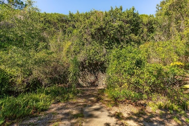 3019 Ion Ave, Sullivans Island, SC 29482 - photo 3