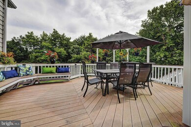 25583 Creek Run Terrace, Chantilly, VA 20152 - photo 5