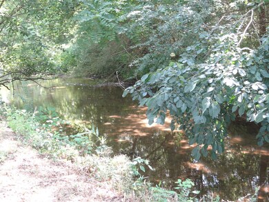 Beautiful branch running along the property. 