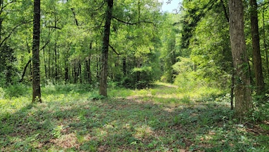 Land view