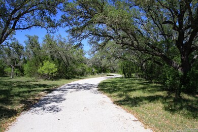 8686 Fm 1796, D Hanis, TX 78850 - photo 3