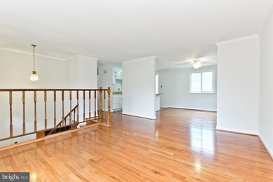 4410 Vantage Ct, Alexandria, VA 22306 - photo 6