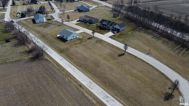 000 Leon Ln, Pittsfield, IL 62363 - photo 5