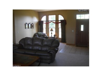 Custom windows, 10 ft ceilings