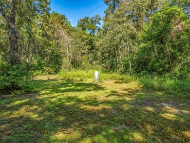 59 Andrew Ln, Crawfordville, FL 32327 - photo 4