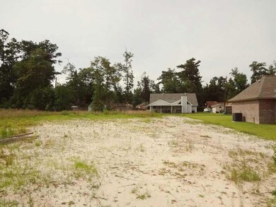 0 Nelson Landing Dr, Pearl River, LA 70452 - photo 5