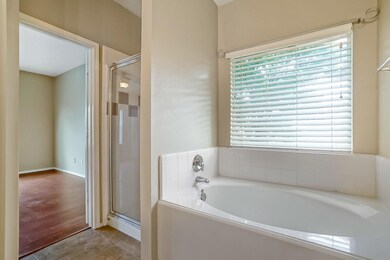 Master bathroom bathtub and shower