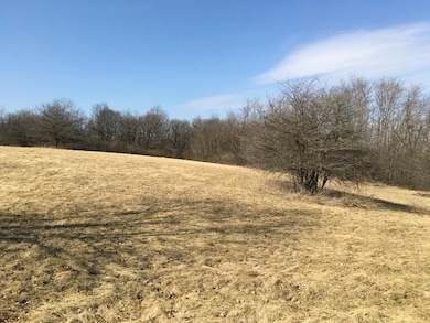 7369 English Oak Ln, Spring Grove, IL 60081 - photo 2