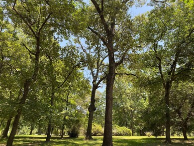 719 Placid Lake Ln, Magnolia, TX 77354 - photo 2