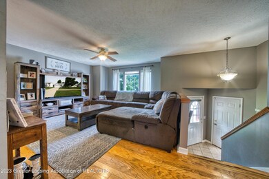 Entry/Living Room