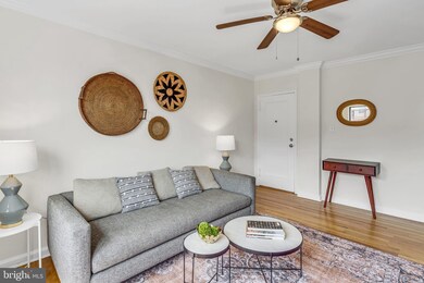 613 Hamlin St NE unit 11, Washington, DC 20017 - photo 6