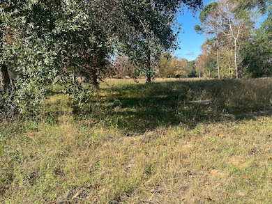 0 S Houston Ave, Livingston, TX 77351 - photo 3