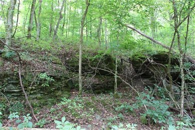 0 Freeman Fielder Rd unit RTC1662111, Stewart, TN 37175 - photo 4