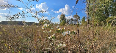 8692 E Baseline Rd, Mount Pleasant, MI 48858 - photo 2