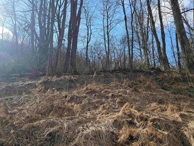 TBD W Catherine St, Rowlesburg, WV 26425 - photo 7