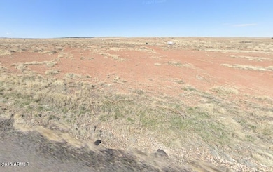 29 County Road 6025 unit 106, Saint Johns, AZ 85936 - photo 5