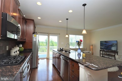 11786 Dawkins Ridge Ln, Bristow, VA 20136 - photo 7