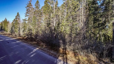 Ray's Point Road Land Aerials-12