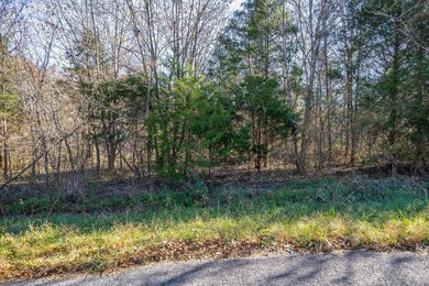 0 Simmons Rd, Sparta, TN 38583 - photo 4