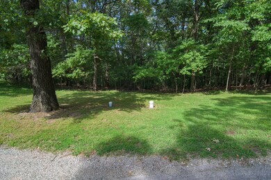 Lot 7 Plateau Ln, Kimberling City, MO 65686 - photo 3
