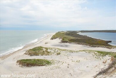 51 Squibnocket Farm Rd, Chilmark, MA 02535 - photo 4