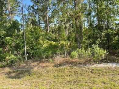 0 29th Ave Everglades Blvd unit 225082390, Naples, FL 34120 - photo 2