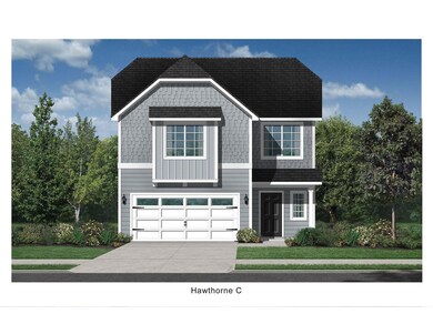 Hawthorne C