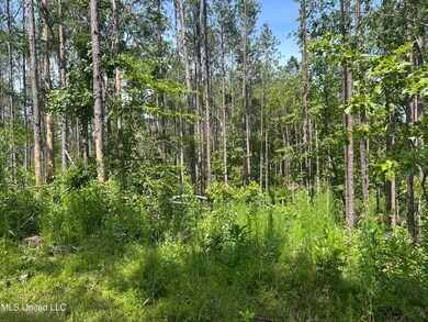 0 Bonds Rd, Roxie, MS 39661 - photo 3