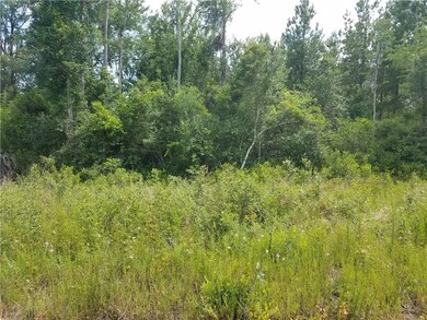 Lot 42 Timberland Estates