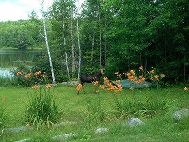 00 Hidden Acres Dr unit 30.1 & 30.2, Sugar Hill, NH 03586 - photo 4