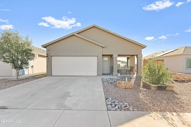 5-web-or-mls-IMG_7995