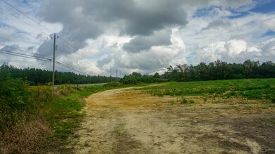 23.52 Ac Hwy 63 - S, Lucedale, MS 39452 - photo 6