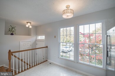 13303 Burkitts Rd, Fairfax, VA 22033 - photo 3