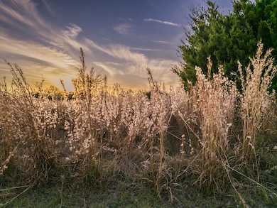 2351 NW 110th St, Chiefland, FL 32626 - photo 5