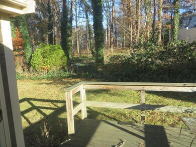 Still back yard