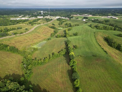 DJI_00981