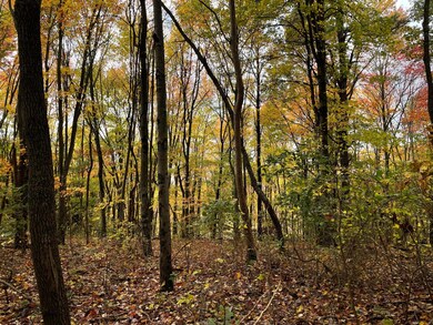 0 Revenge Rd SW unit 20 221045212, Lancaster, OH 43130 - photo 6