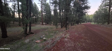 155 E Ski Run Rd, Williams, AZ 86046 - photo 4