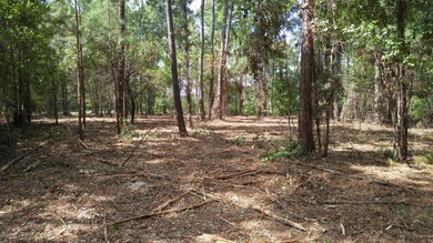 102 Calcos Ct, Stump Sound, NC 28445 - photo 3