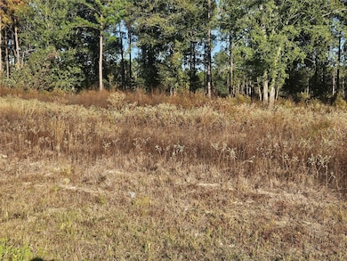 8026 Road 5891, Cleveland, TX 77327 - photo 2