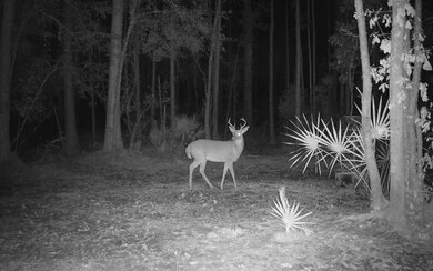 0 County Line & Prine unit 121576, Lee, FL 32059 - photo 5