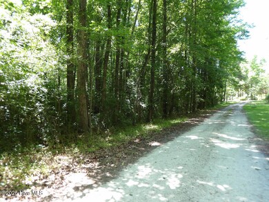 0 N Carolina 210, Rocky Point, NC 28457 - photo 5