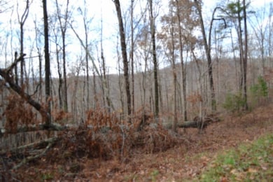 0 Tomahawk unit RTC3050220, Jamestown, TN 38556 - photo 2