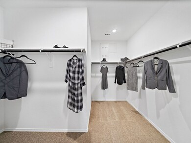 5728 Palm Flower Dr, Montgomery, TX 77316 - photo 5