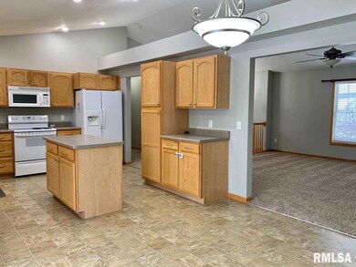 1420 W 52nd St, Davenport, IA 52806 - photo 6