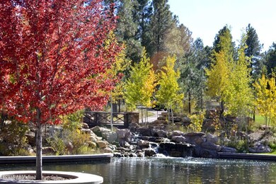 Pine Canyon land Fountain 1